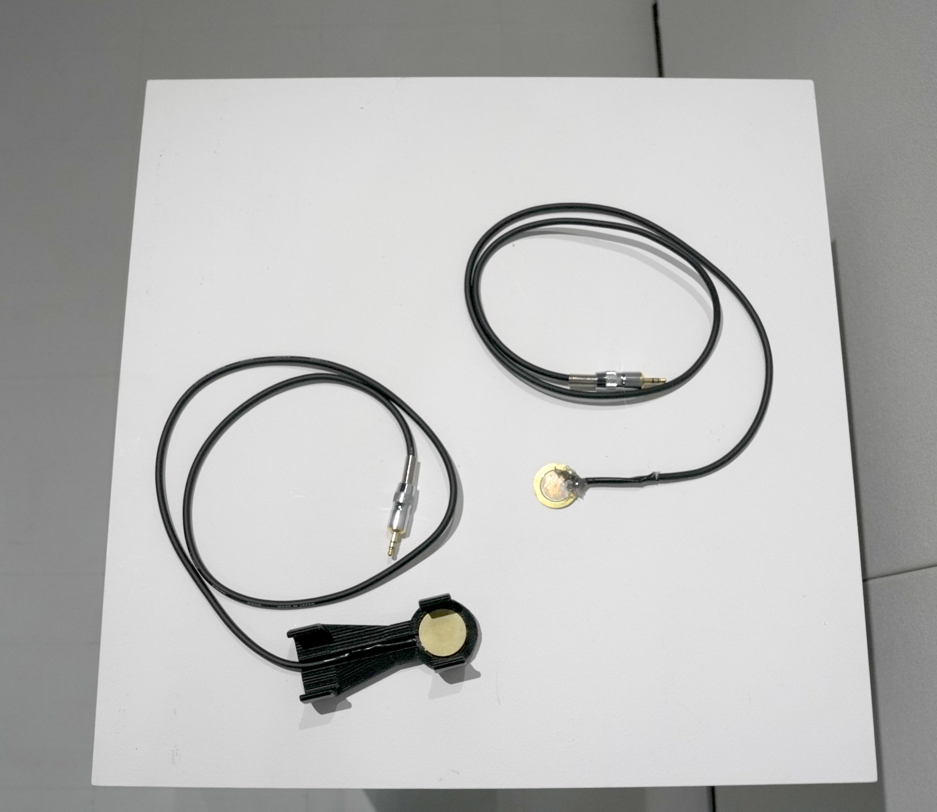 Image of custom microphones. On the left is a version with a cover, on the right is a version without a cover.